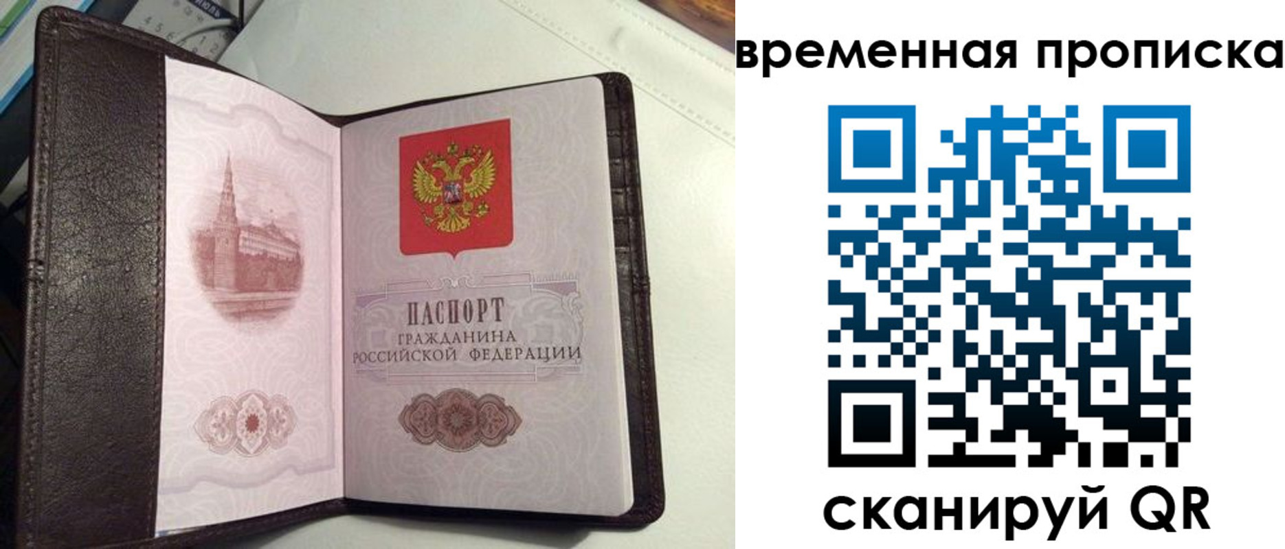 прописка 2025 в Краснодаре